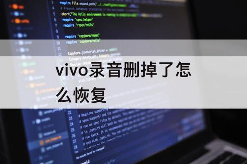 vivo录音删掉了怎么恢复
