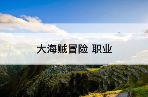 大海贼冒险 职业