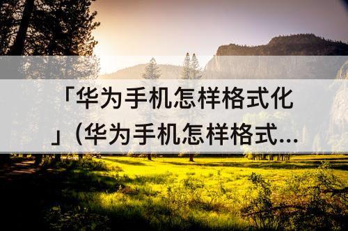 「华为手机怎样格式化」(华为手机怎样格式化最干净)