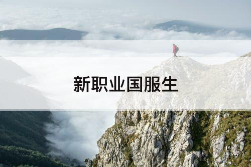 新职业国服生