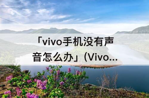 「vivo手机没有声音怎么办」(Vivo手机没有声音怎么办? 音量已经打开了苹果)