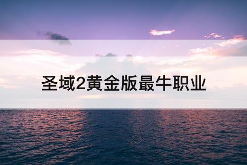 圣域2黄金版最牛职业