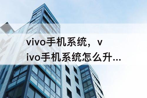 vivo手机系统，vivo手机系统怎么升级到5.0