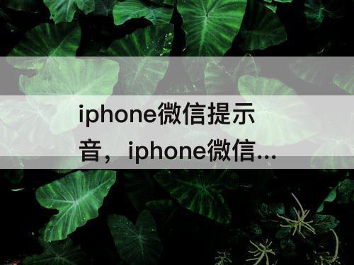iphone微信提示音，iphone微信提示音.mp3百度网盘