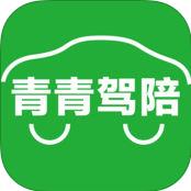 青青驾陪