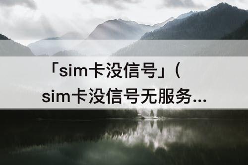 「sim卡没信号」(sim卡没信号无服务是什么原因)