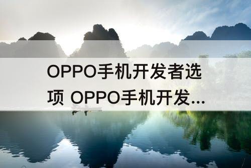 OPPO手机开发者选项 OPPO手机开发者选项在哪里打开