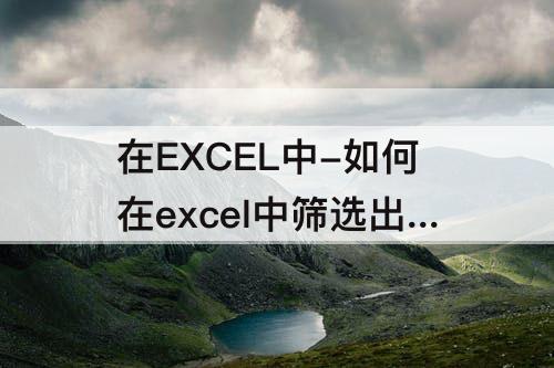 在EXCEL中-如何在excel中筛选出相同名称的数据