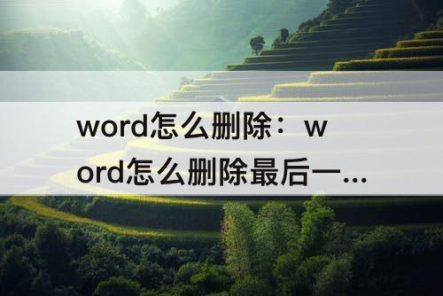 word怎么删除：word怎么删除最后一页有页眉