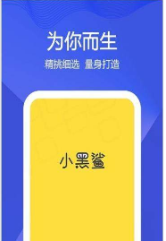 小黑鲨回收  v2.0图1