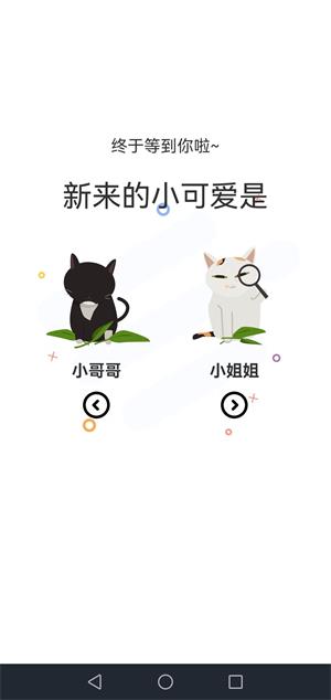 喵上二次元手机版