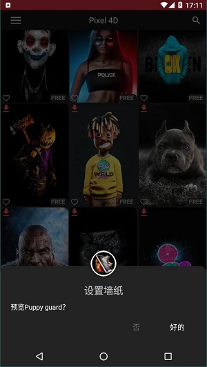 pixel 4d  v2.9.9图2