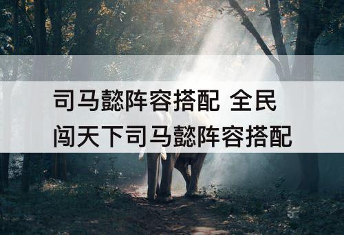 司马懿阵容搭配 全民闯天下司马懿阵容搭配