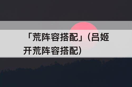 「荒阵容搭配」(吕姬开荒阵容搭配)