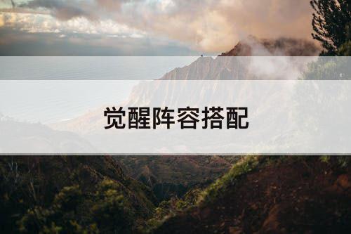 觉醒阵容搭配