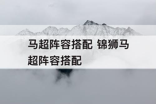 马超阵容搭配 锦狮马超阵容搭配