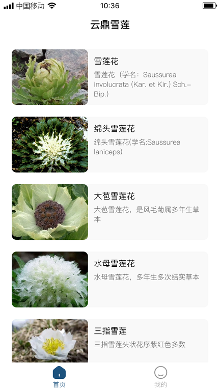 云鼎雪莲手机版  v1.0.0图3