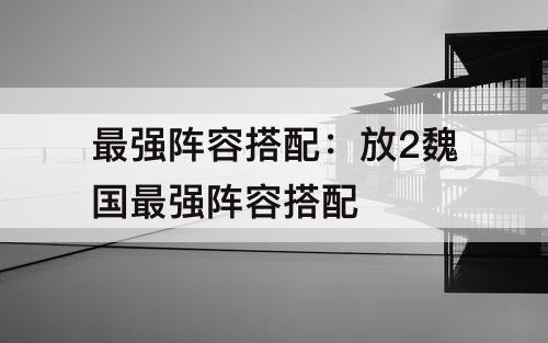 最强阵容搭配：放2魏国最强阵容搭配