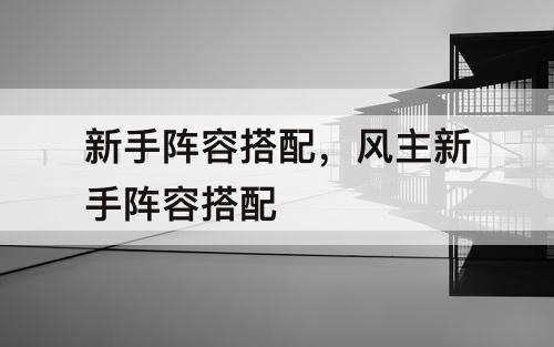 新手阵容搭配，风主新手阵容搭配