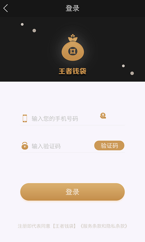 王者钱袋免费版下载安装  v1.0图2