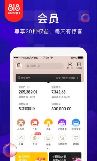 金东金融白条免费版