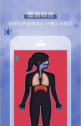 人体探秘  v1.0图2