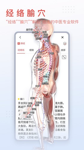 3Dbody艺用  v8.7.40图2