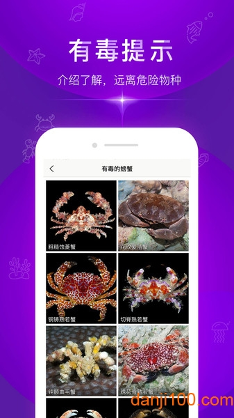 问鱼  v1.1.18图1