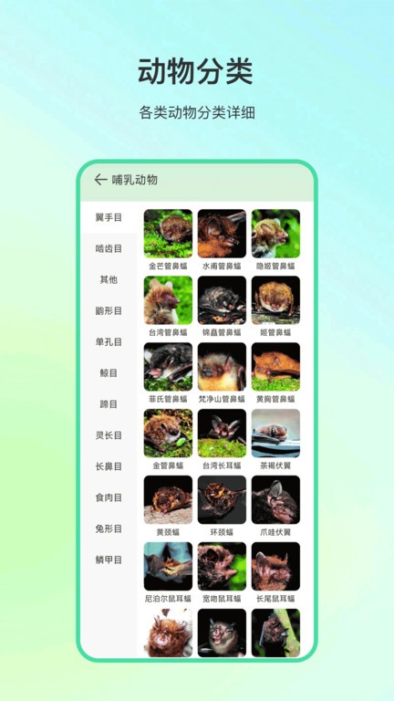 动物百科  v4.0.3图3