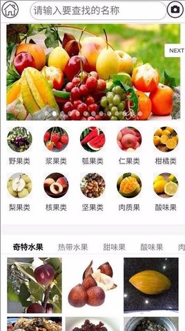 水果百科  v2.1.9图1