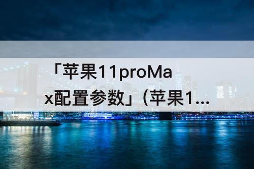 「苹果11proMax配置参数」(苹果11promax配置参数表图片)