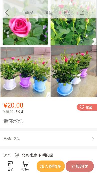 七彩云菊  v1.0.0图1