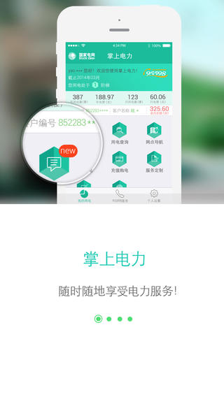 网上国网官方下载安装  v2.0.5图2