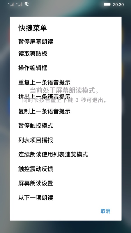 屏幕朗读免费版下载苹果版app  v14.0.0.302图2