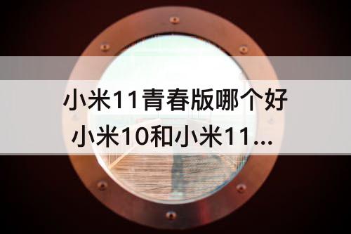 小米11青春版哪个好 小米10和小米11青春版哪个好