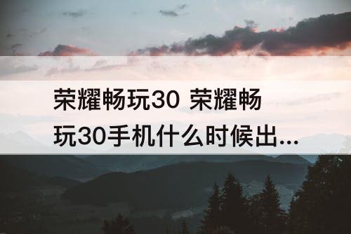 荣耀畅玩30 荣耀畅玩30手机什么时候出的