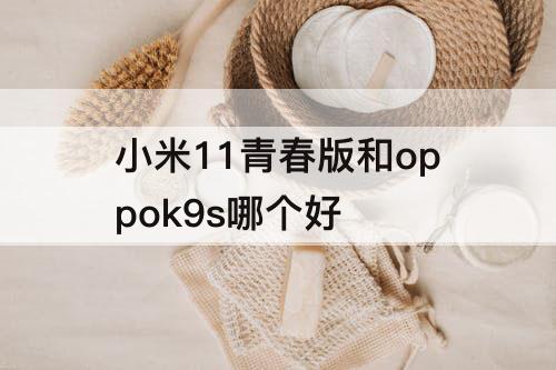 小米11青春版和oppok9s哪个好