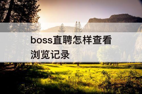 boss直聘怎样查看浏览记录