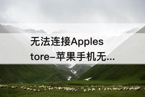 无法连接Applestore-苹果手机无法连接applestore怎么办