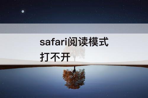 safari阅读模式打不开