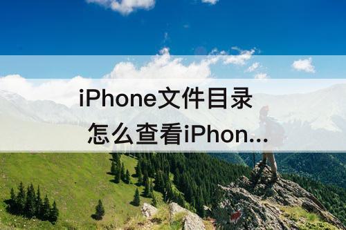 iPhone文件目录 怎么查看iPhone文件目录