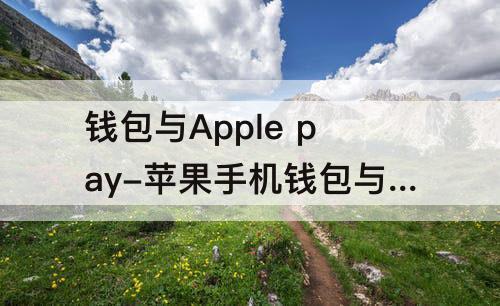 钱包与Apple pay-苹果手机钱包与apple pay怎么设置