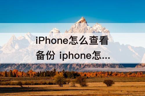 iPhone怎么查看备份 iphone怎么查看备份的照片