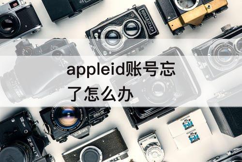 appleid账号忘了怎么办