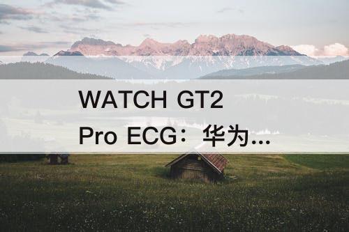 WATCH GT2 Pro ECG：华为watch gt2 pro ecg和gt2 pro