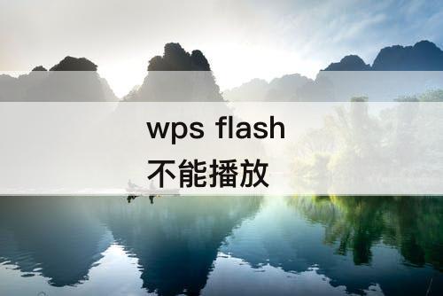 wps flash 不能播放