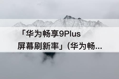 「华为畅享9Plus屏幕刷新率」(华为畅享9plus屏幕刷新率是多少hz)