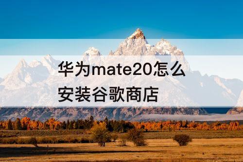 华为mate20怎么安装谷歌商店