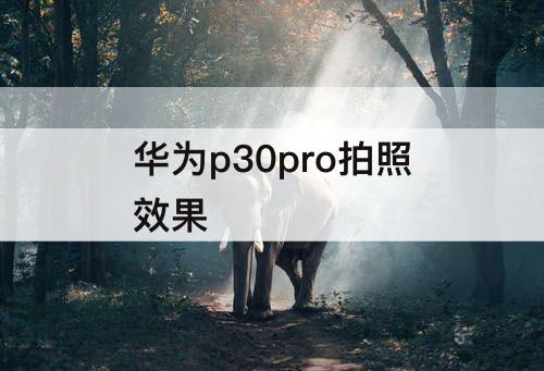 华为p30pro拍照效果