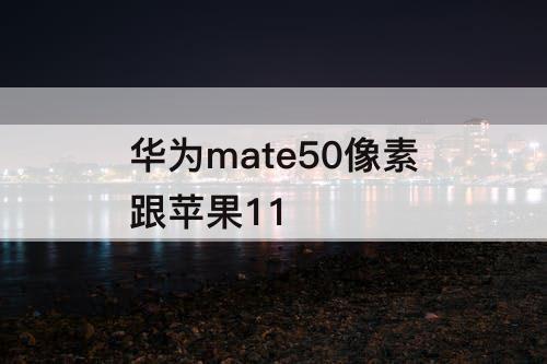 华为mate50像素跟苹果11